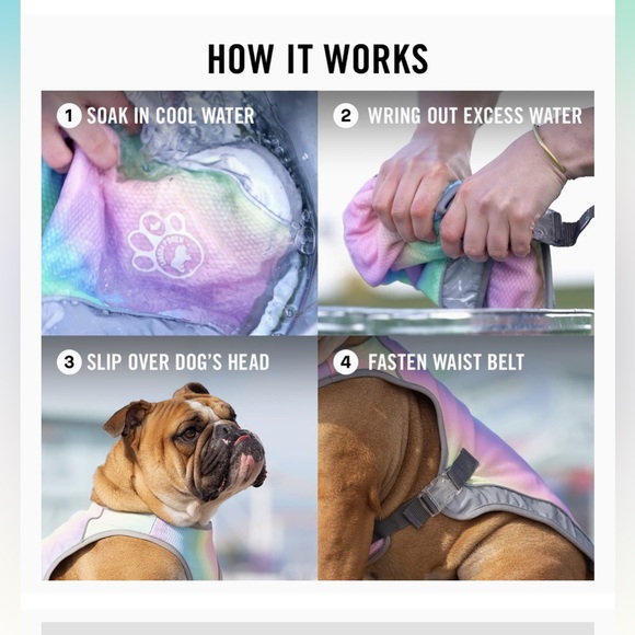 Dog Clothes (24) - Picture 9 of 11